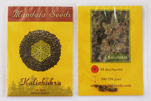 seeds-1.jpg