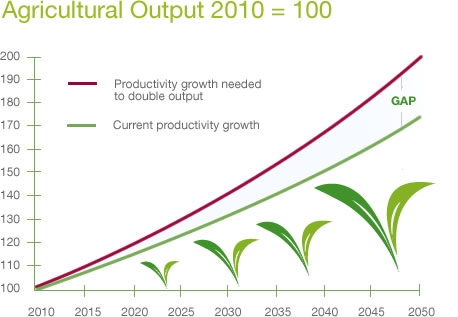 food-production-gap.jpg