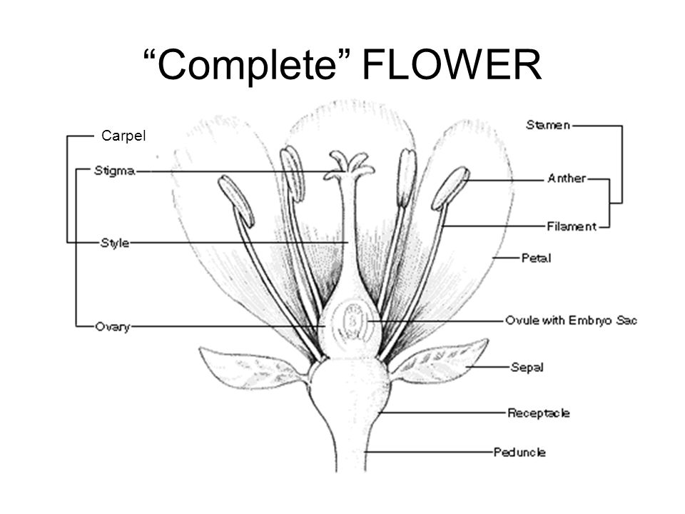 slide_2.jpg