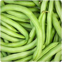 greenbeans.jpg