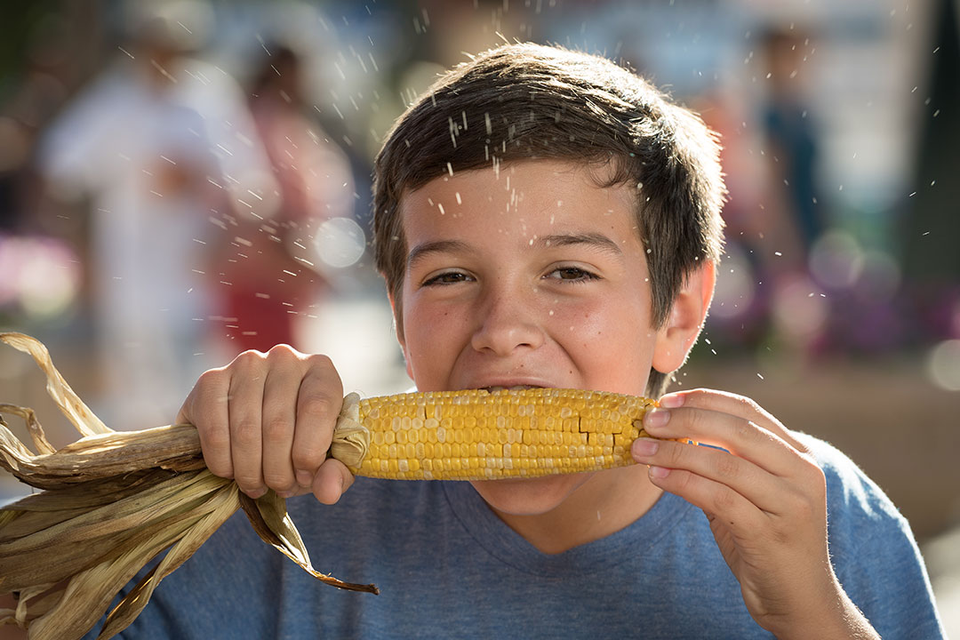 bigtex.com