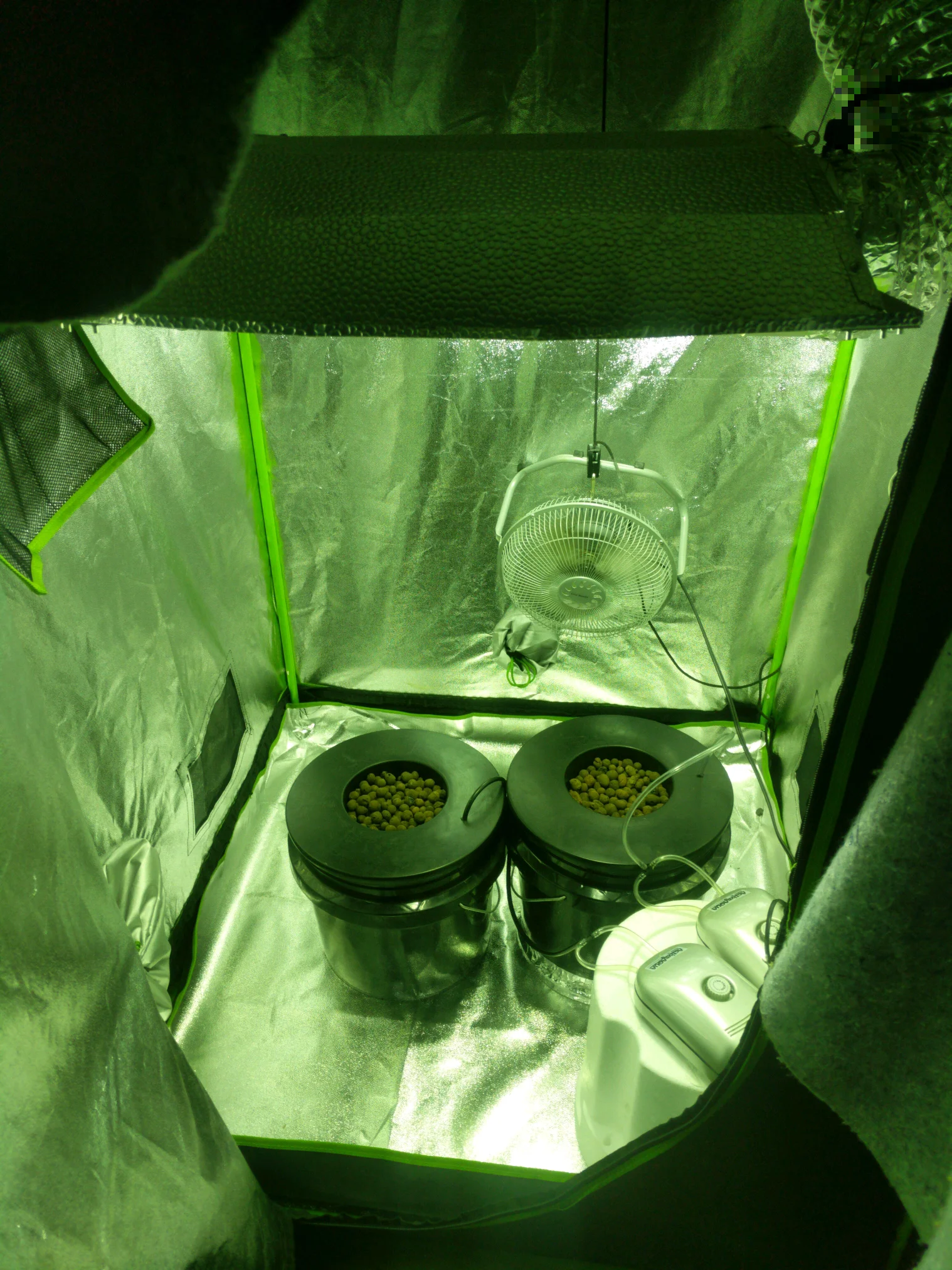 obscura1548551409436.jpg