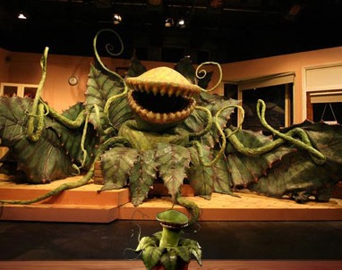 little-shop-of-horrors-728550.jpg