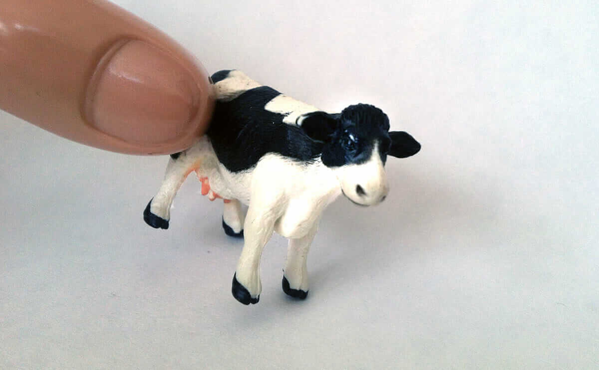 modernfarmer.com