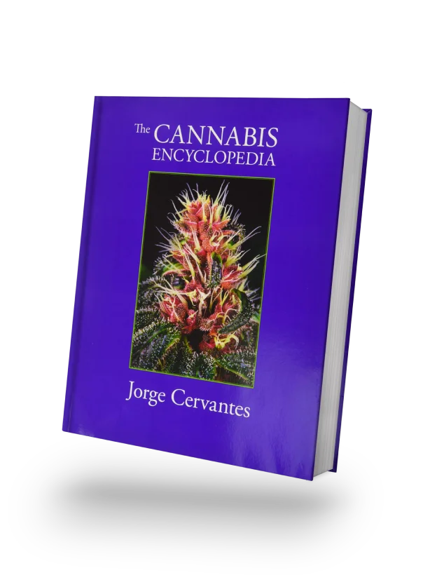 jorge-cervantes.com