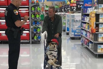 seanandlamby-360x240.jpg