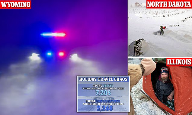 www.dailymail.co.uk