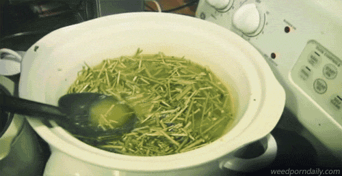 tumblr_lvfdqu0OwB1qjczh3o1_500.gif