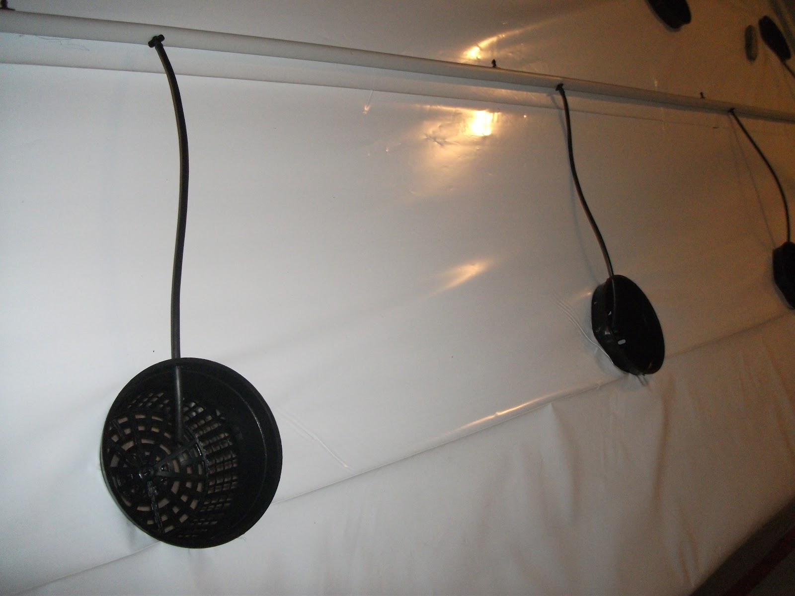 DSCF2144.JPG
