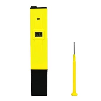 315rDL9bn%2BL._SX342_.jpg