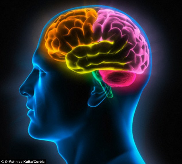2B56C7C300000578-3196809-image-m-78_1439483891817.jpg