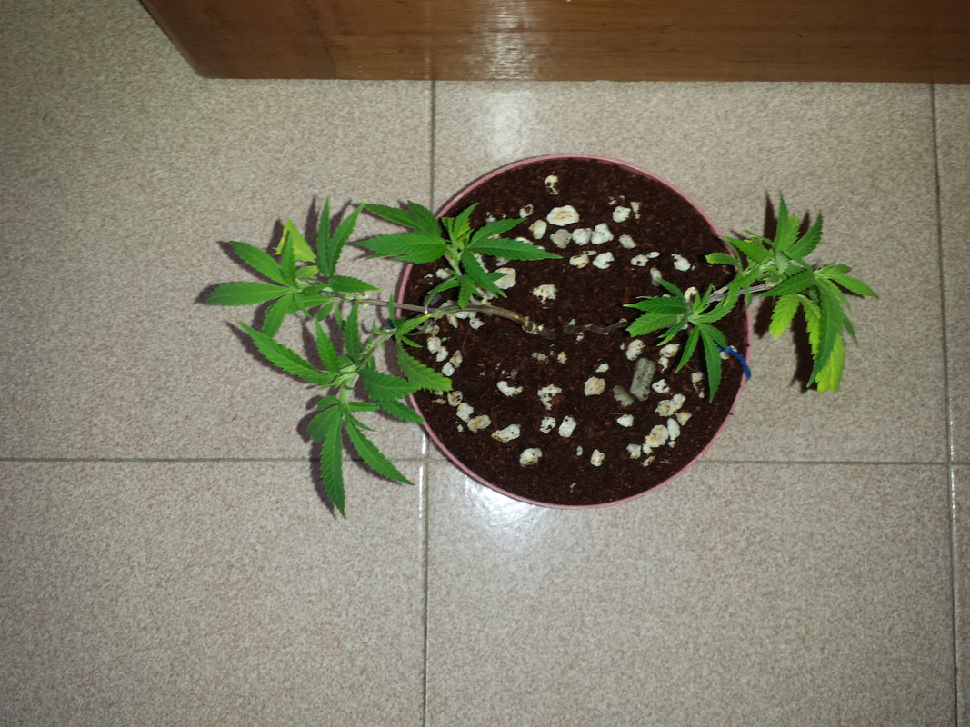 20190925-074706.jpg