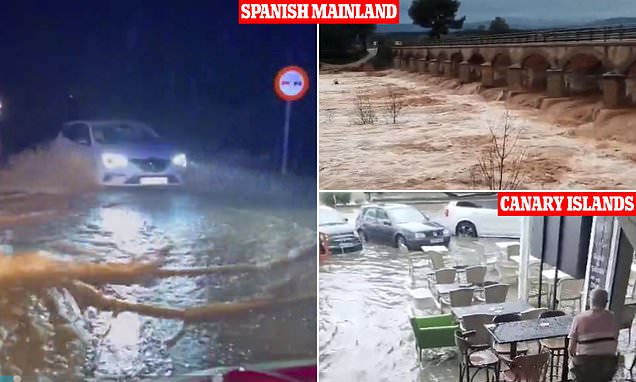 www.dailymail.co.uk