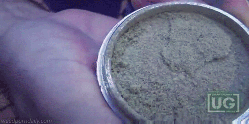 tumblr_maodh0Nq061qjczh3o1_500.gif