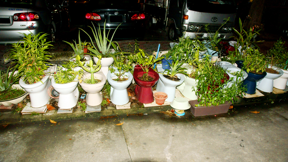 Toilet_Bowl_Plant_Pots_o_O_by_shironranshiin.jpg