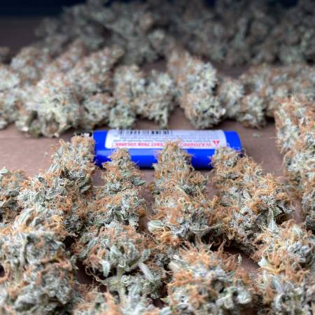 growdiaries.com
