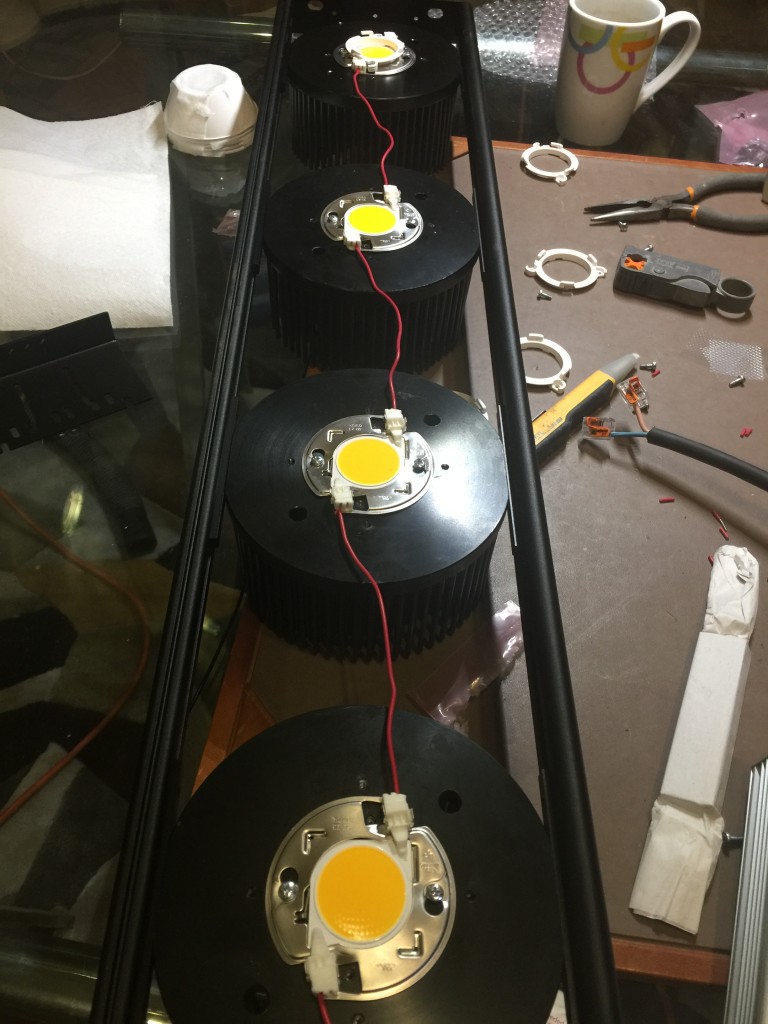 02E41807-AD66-4359-9432-FEF792C69240.jpeg