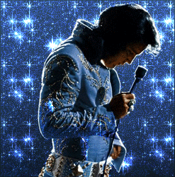Elvis-elvis-presley-8026766-247-250.gif