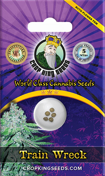 www.cropkingseeds.com