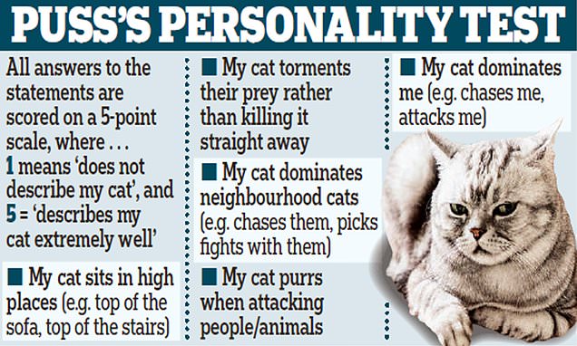 www.dailymail.co.uk