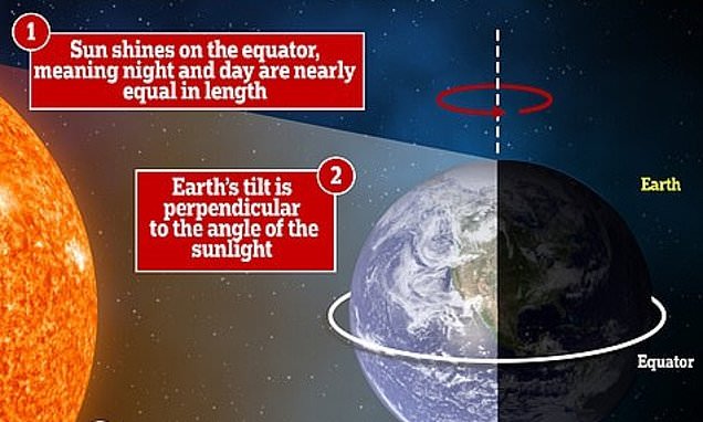www.dailymail.co.uk