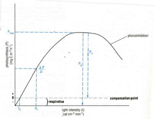 Photosynthesis-irradiance_curve.gif