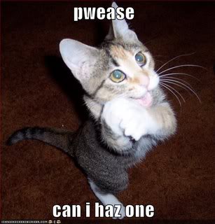 pwease-can-i-haz-one.jpg