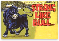 stronglikebull.jpg