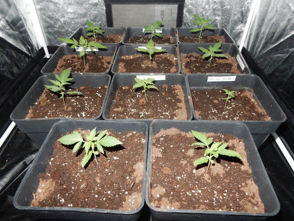 28_01_PANORAMIC_c.jpg