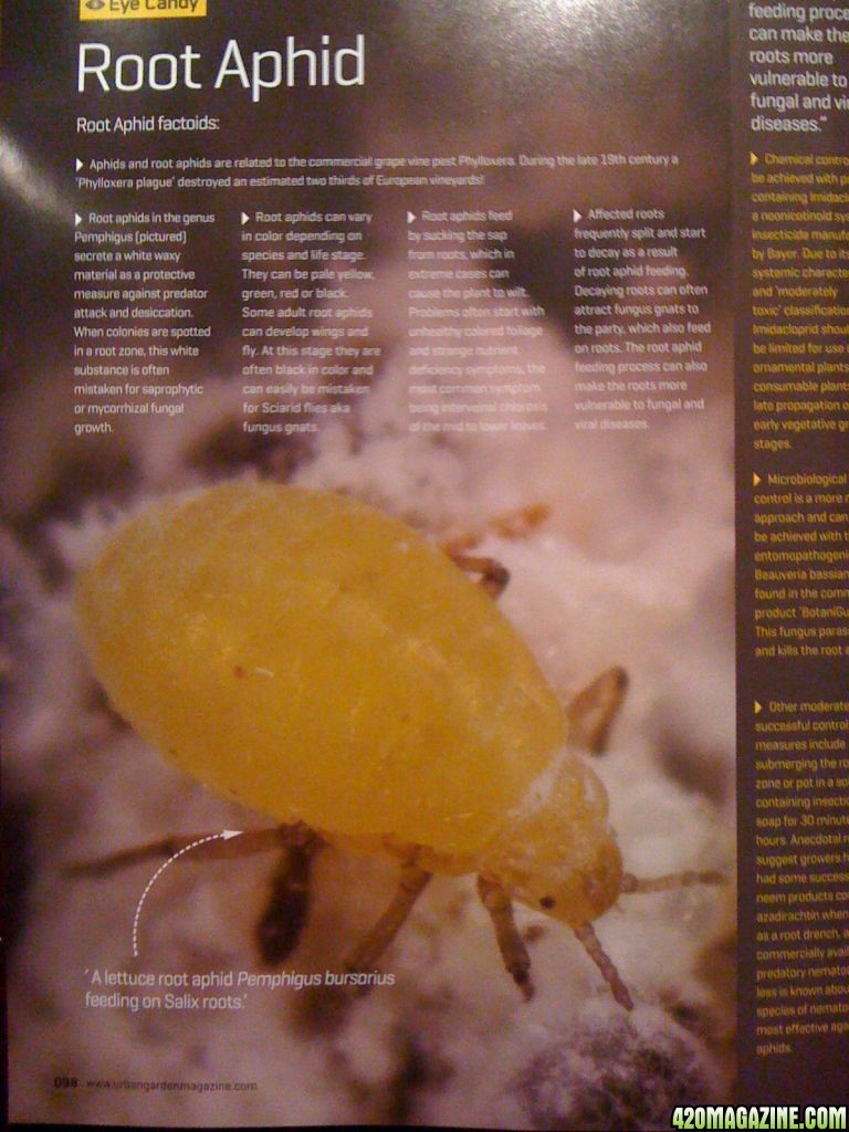 IMG_018811.JPG
