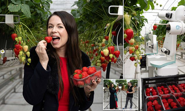 www.dailymail.co.uk