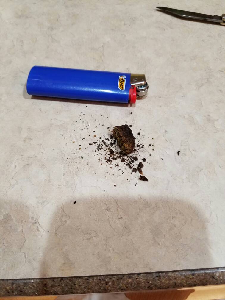 c5c0b63edc45bd04b6c3f373cd0e6935.jpg