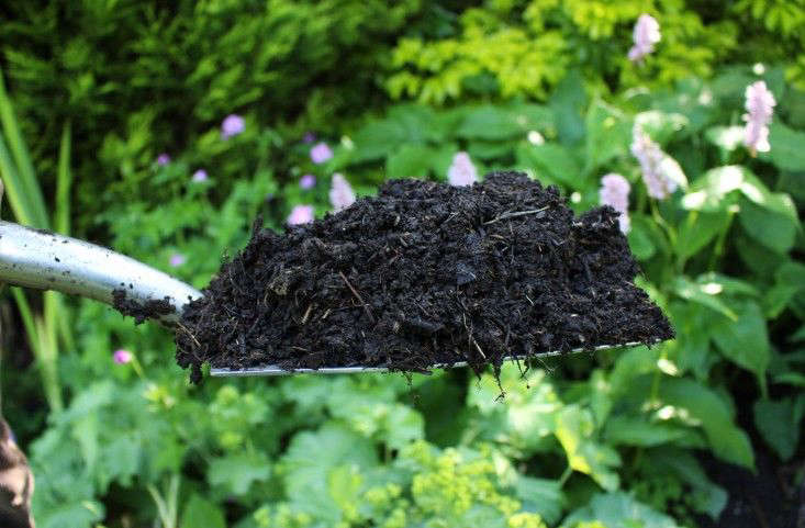 www.gardenista.com