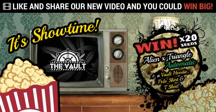 Vault_Video_Blog.jpg