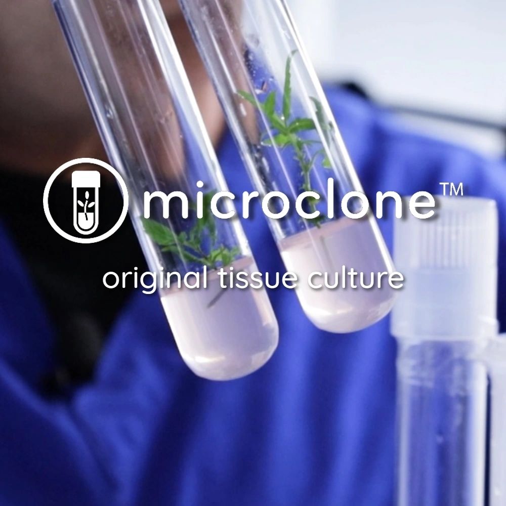 microclone.com