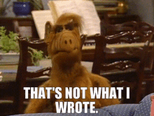 a stuffed animal with the words that 's not what i wrote below it a stuffed animal with the words that 's not what i wrote below it