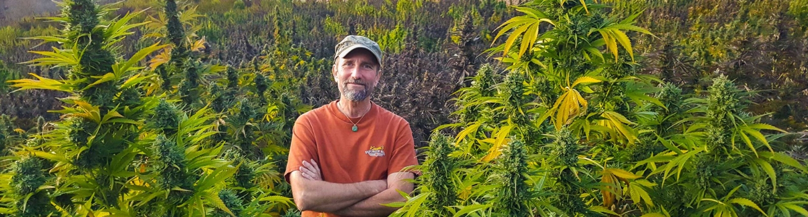 beta&t=COl1cZznd6bF_Sv7N0gH0NaVVeb2itwZQuv_b6UxaKg.jpg beta&t=COl1cZznd6bF_Sv7N0gH0NaVVeb2itwZQuv_b6UxaKg.jpg