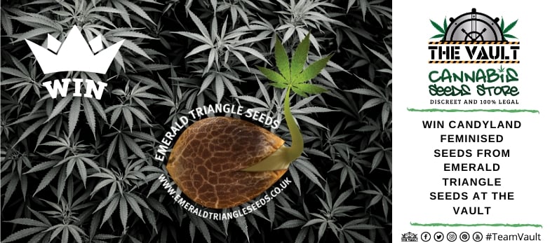 www.cannabis-seeds-store.co.uk