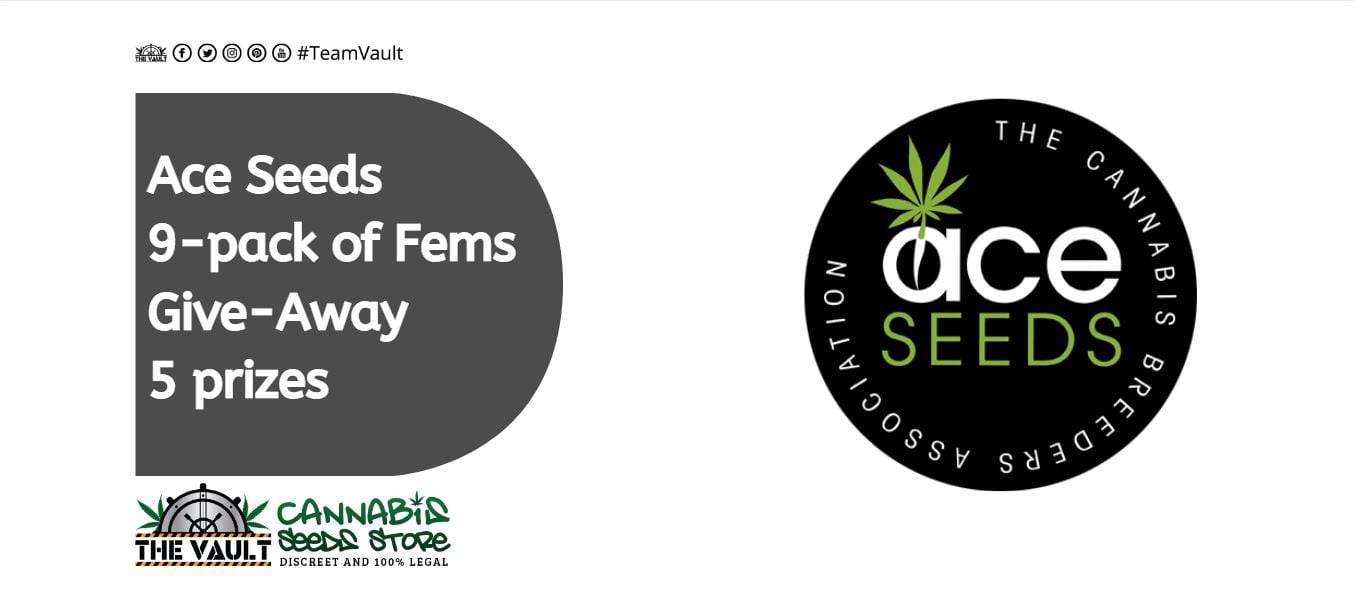 www.cannabis-seeds-store.co.uk