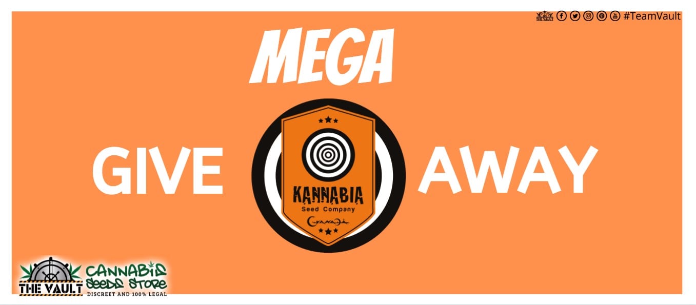 kannabia-mega-give-away.jpg