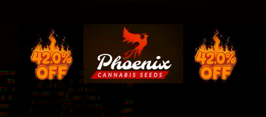 Phoenix_420.JPG.jpg