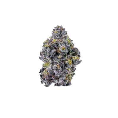 www.growerschoice.nl