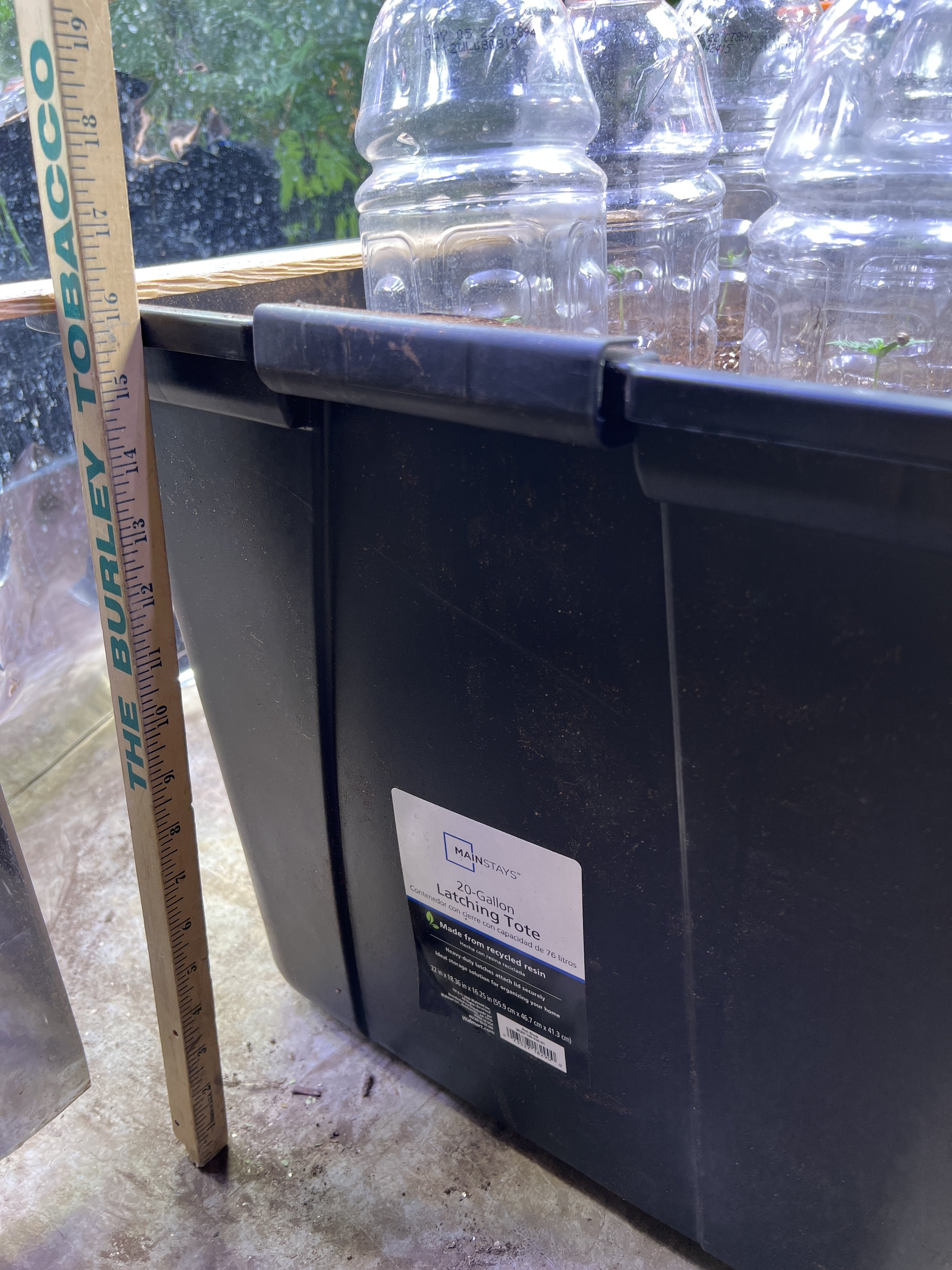 20 gal. container 8-plant | The Autoflower Network