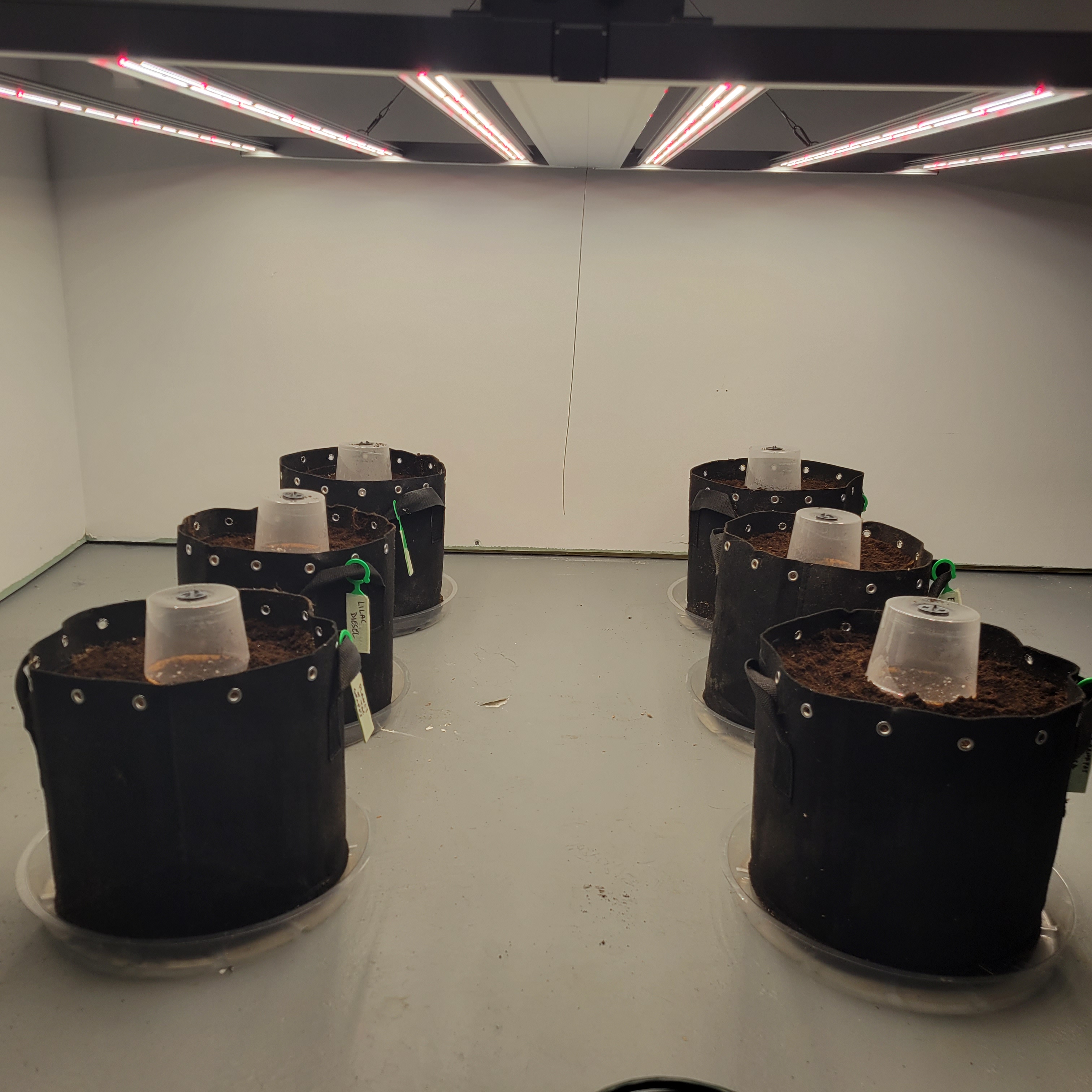 20220714_203954.jpg